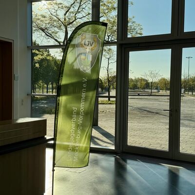 Bild vergr&ouml;&szlig;ern: Beach Flag LJV MV