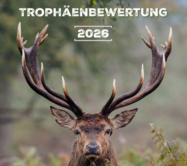 Bild vergr&ouml;&szlig;ern: Titelbild Troph&auml;enbewertung 2026