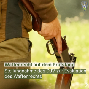 Bild vergr&ouml;&szlig;ern: Beitrag - Evaluierung Waffengesetz DJV-1