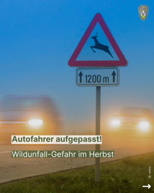 Bild vergr&ouml;&szlig;ern: Wildunfallgefahr