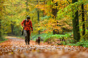 2020-10_Pressefoto_Hundefuehrerin_im_Wald-Grell-DJV_3