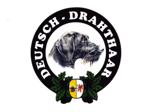 Deutsch Drahthaar MV