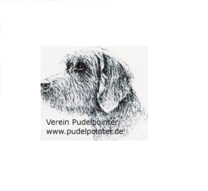 Pudelpointer_1