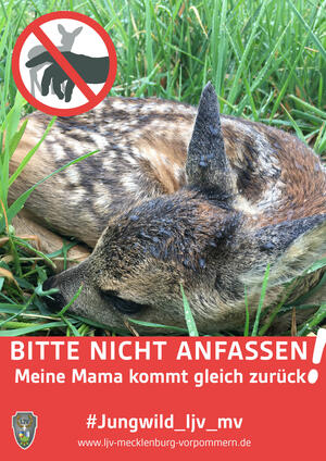 Bild vergr&ouml;&szlig;ern: Plakatkampagne